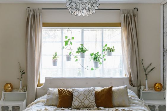 Unexpected Ways to Decorate with Plants and Flowers | Apartment Therapy