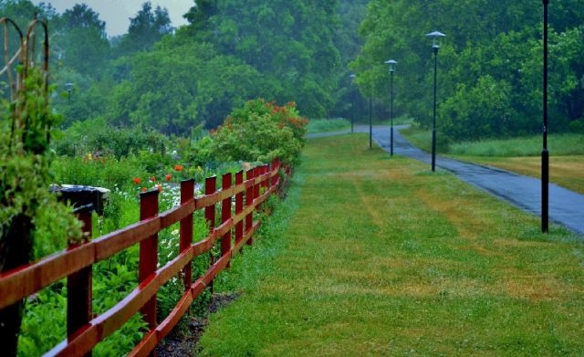 Fence Posts Fence Posts