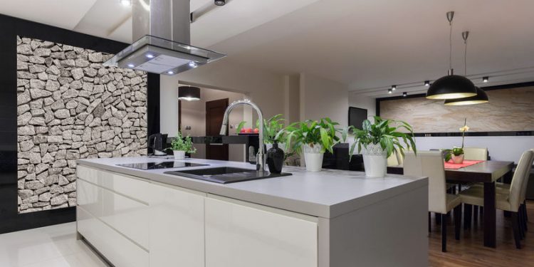 Decorative Purpose of Kitchen Hoods