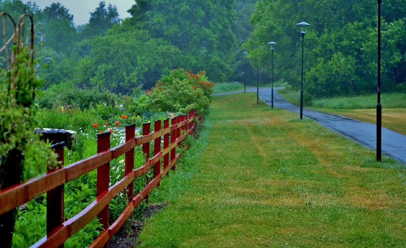 Fence Posts