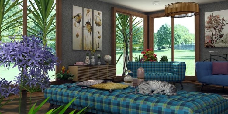 Want a Couch Futon Mattress? Here’s All You Need to Know About It