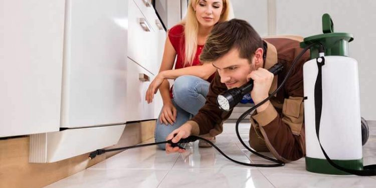 pest-control-operator