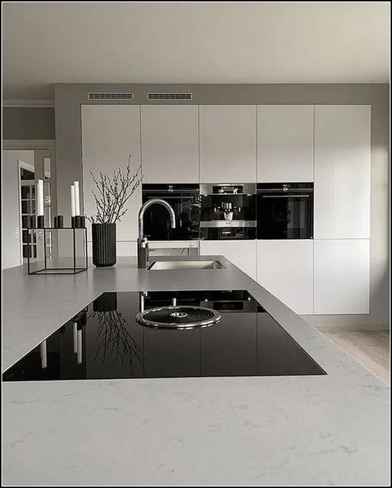 Black and White Modern Kitchen Idea