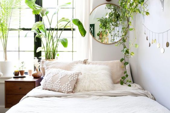 plant bedroom decor