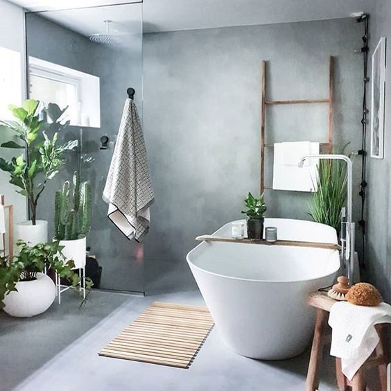 Plants Decors in Making The Bathroom Feel Fresh and Comfortable