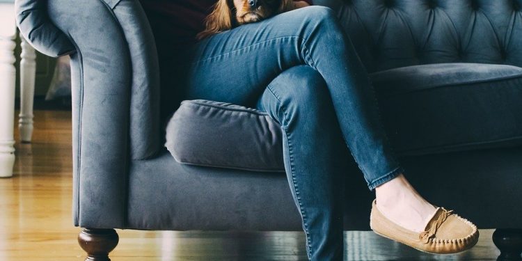Couch, Feet, Shoes, Wooden, Floor, Dog, Puppy, Brown