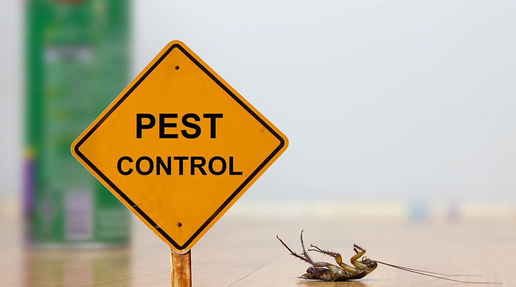 pest-control