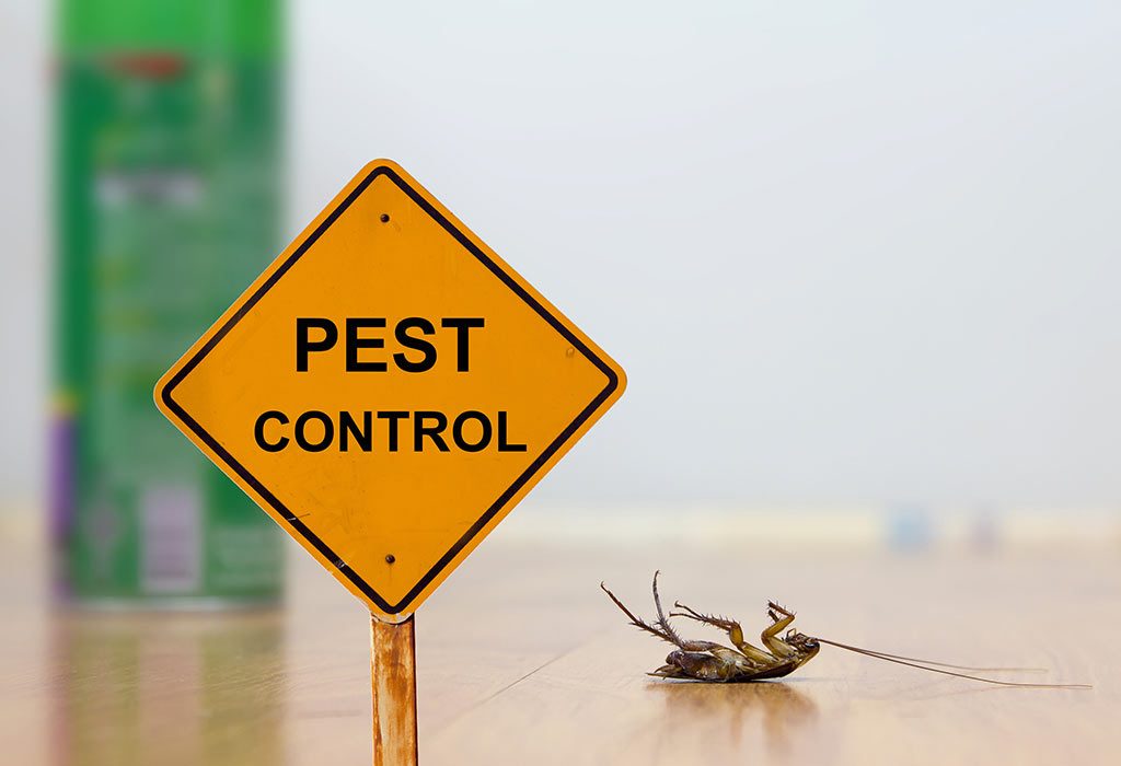 pest-control