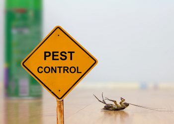 pest-control