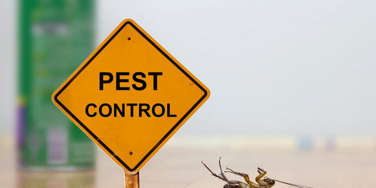 pest-control