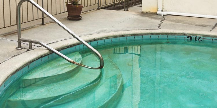 How to Get Rid of Black Algae in Your Pool