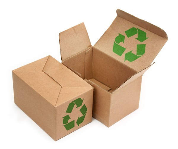Best Ways To Stay Eco-Friendly While Moving