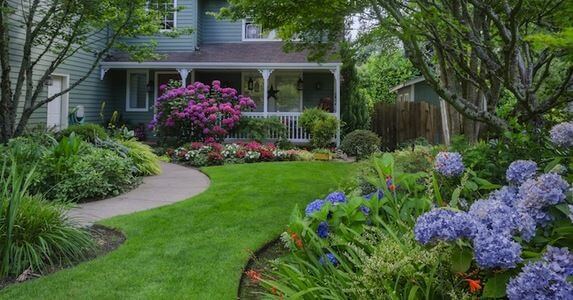 10 Expert Tips for Backyard Landscaping